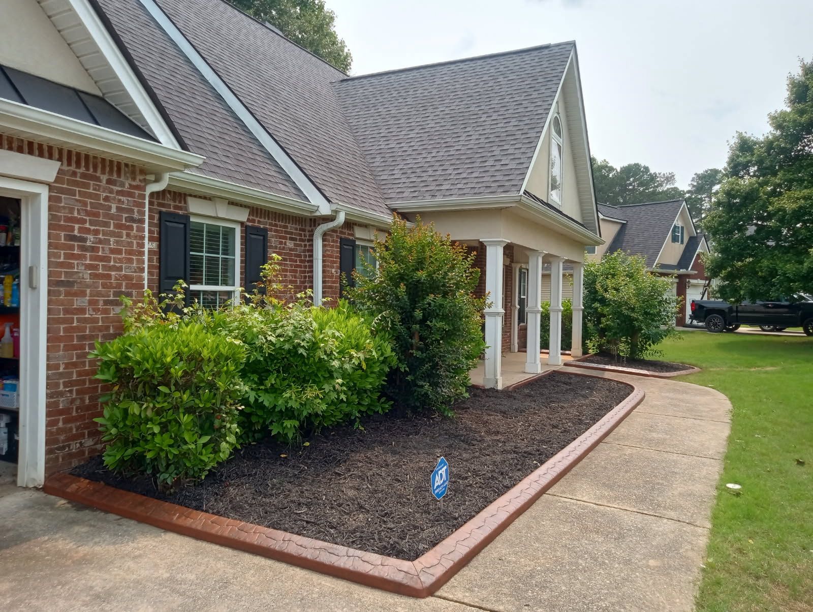 Mulch and plants